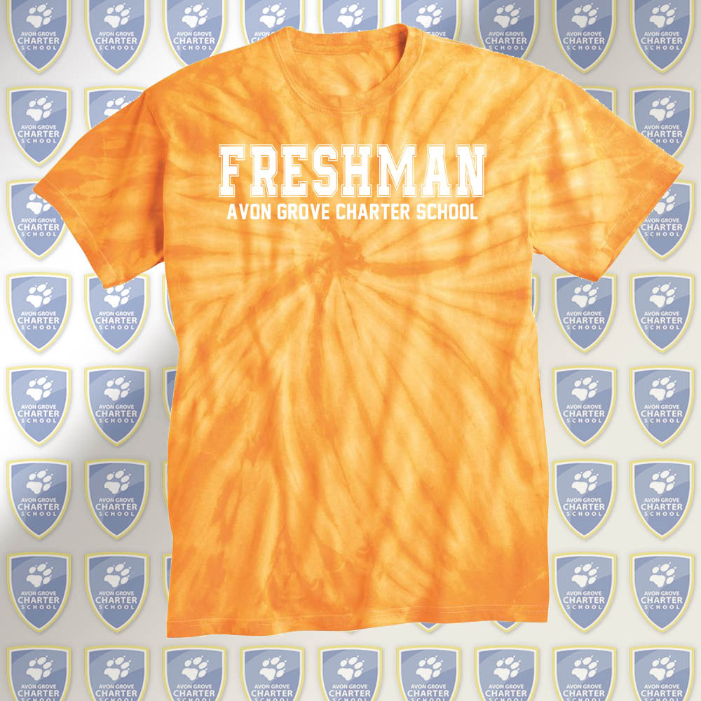 Freshman ( Yellow ) High School Color War Tee Shirts